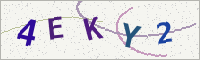 Five letters and digits, distorted. Type them into the box below.